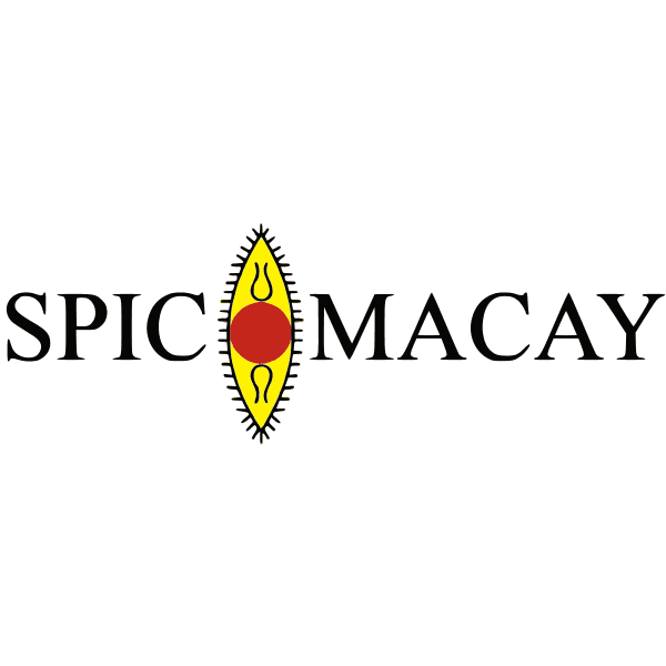 SPIC MACAY